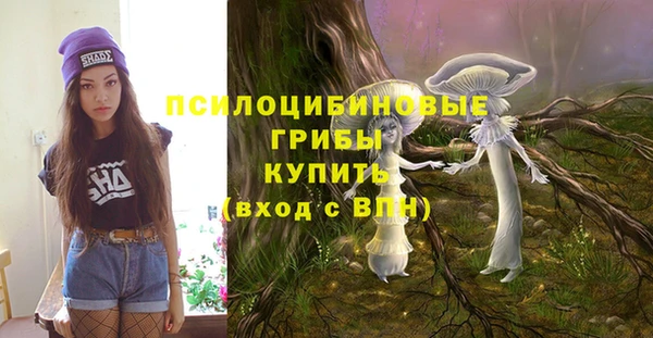 мескалин Бородино