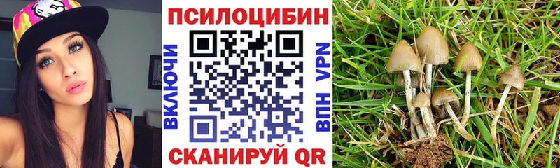 Галлюциногенные грибы ЛСД  что такое   Златоуст 